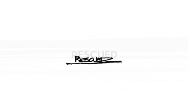 Foo Fighters – Rescued Review